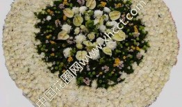 花篮网最新爆料网站官网,官网最新爆料，带你探秘幕后真相