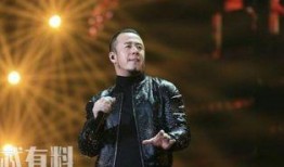 爆料杨坤视频大全集,揭秘音乐才子的魅力瞬间